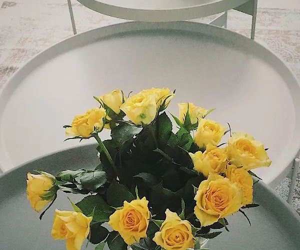 Magnum Appartement *